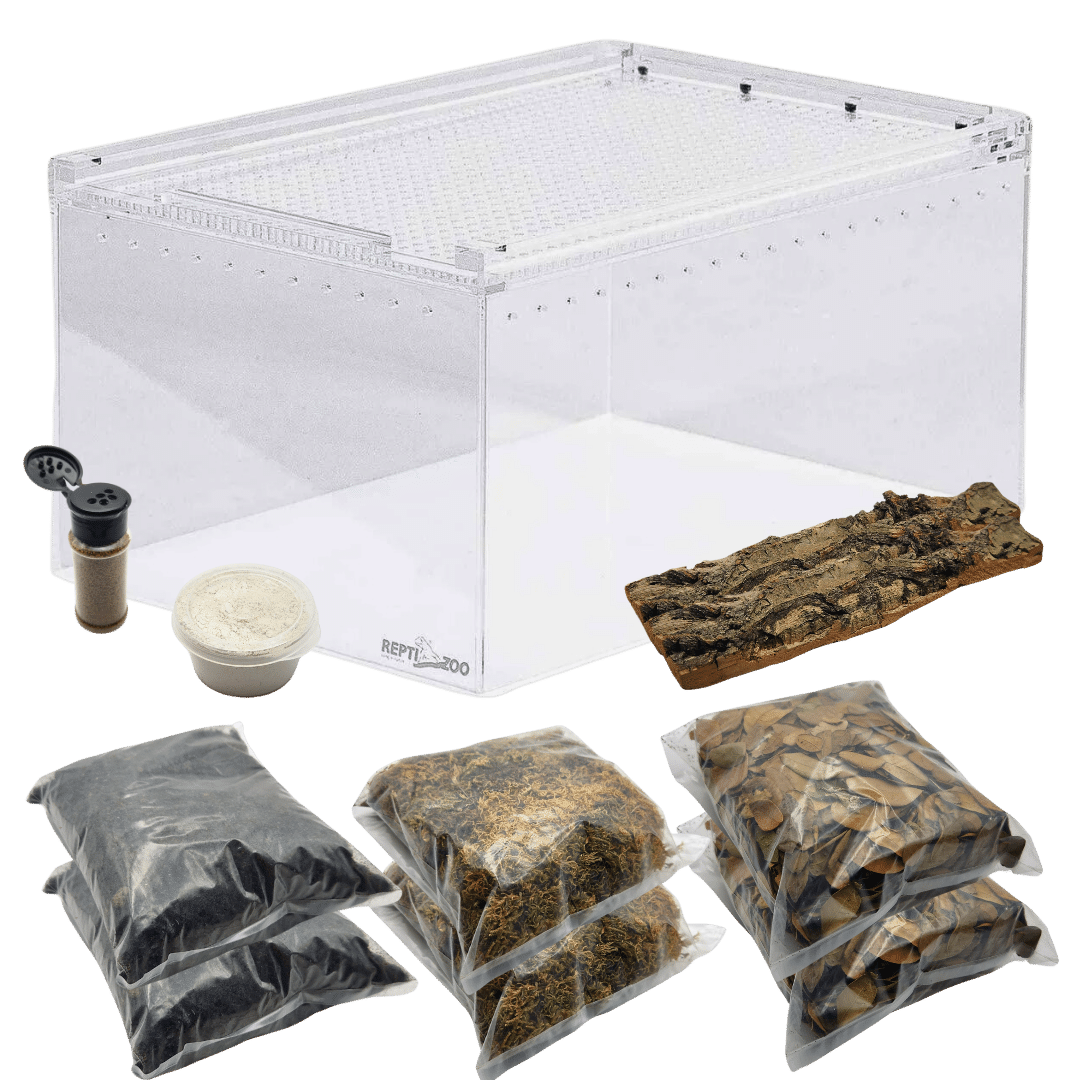 Isopod Terrarium Kit PRO - Medium – Weird Pets PH