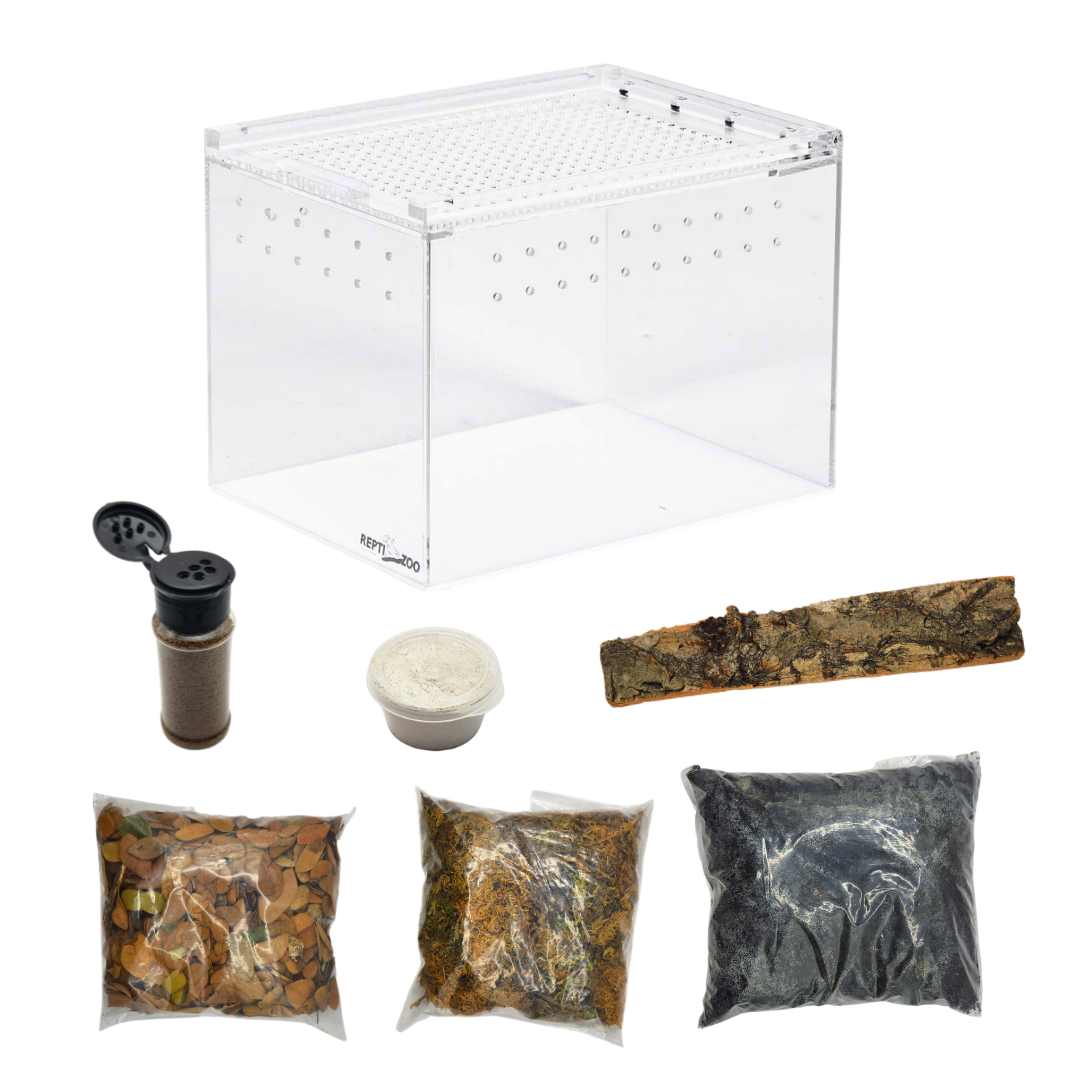 Isopod Terrarium Kit PRO - Small – Weird Pets PH